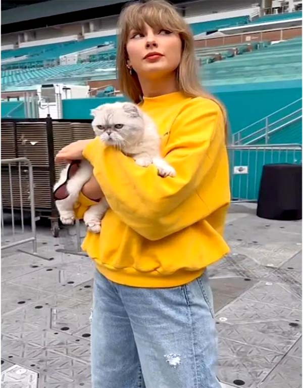 Taylor Swift Miami Tour Yellow Sweatshirt